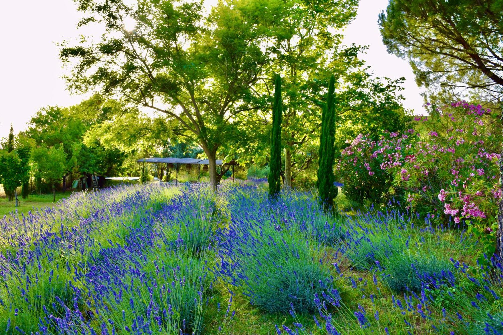 Bastide Saint-Didier Saint Didier  Buitenkant foto