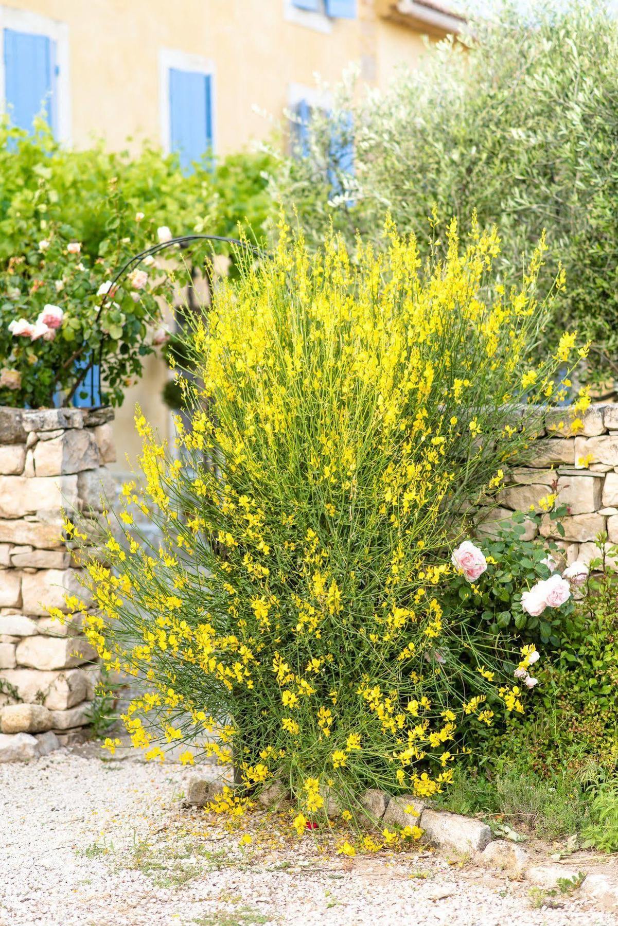 Bastide Saint-Didier Saint Didier  Buitenkant foto